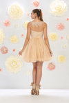 Load image into Gallery viewer, La Merchandise LA1429 Wholesale Sleeveless Short Mesh Homecoming Dress - - LA Merchandise
