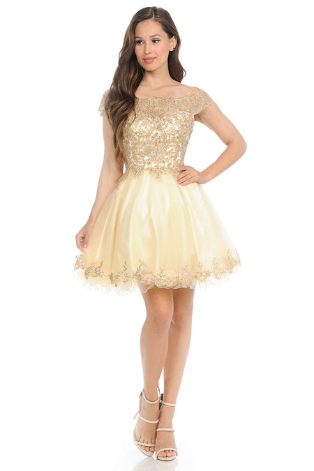 Off-Shoulder Embroidered Bodice Short Tulle Dress with Scalloped Neckline for Special Events By LAF8124
