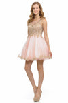 Load image into Gallery viewer, Sleeveless Illusion Neck Embroidered Short Dress with Tulle Skirt for Parties By LAF8101
