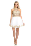 Load image into Gallery viewer, Halter Embroidered Bodice Short Party Dress with Sheer Waistband &amp; Tulle Skirt By LAF8015