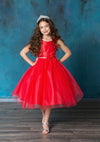 Load image into Gallery viewer, LA Merchandise LAZD802 Girls Beaded 3D Floral Scoop Neck Tea-Length Tulle Dress