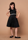 Load image into Gallery viewer, LA Merchandise LAZD817 Girls Sleeveless Metallic Glitter A-Line Party Dress