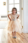 Load image into Gallery viewer, LA Merchandise LAZD825 Girls Lace Bodice Layered High-Low Tulle Dress with Sash