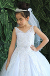 Load image into Gallery viewer, LA Merchandise LAZKY221 Girls Beaded Lace V-Neck Glitter Tulle A-Line Ball Gown