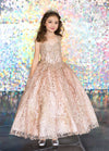 Load image into Gallery viewer, LA Merchandise LAZKY226 Girls Beaded Fringe Cap Sleeve Glitter Tulle Ball Gown