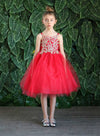 Load image into Gallery viewer, Girls Sleeveless Tulle Dress with Leaf Appliques by LA Merchandise D778-Girls Formal Dresses-ABC Fashion
