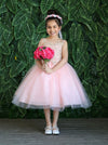 Load image into Gallery viewer, LA Merchandise LAZD778 Girls Beaded Leaf Applique Full-Length Tulle A-Line Dress