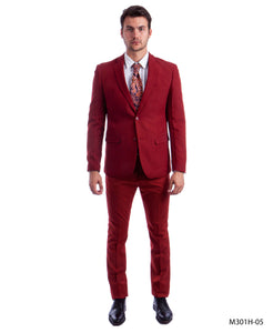 2 Piece Men's Solid Suit - LA301HSA - - Mens Suits LA Merchandise
