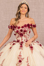 Load image into Gallery viewer, LA Merchandise LAS3105 3D Floral Applique Quince Dress