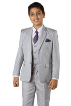 Load image into Gallery viewer, 6 pc Boys Sharkskin Suit - LAB361SA - LIGHT GREY / 2 - Boys 
