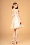 Load image into Gallery viewer, La Merchandise LAS3094 Short A-line Embroidered Sweet 16 Party Dress - - LA Merchandise