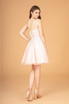 Load image into Gallery viewer, La Merchandise LAS3094 Short A-line Embroidered Sweet 16 Party Dress - - LA Merchandise