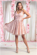 Load image into Gallery viewer, Applique Cocktail Dress - LA1890 - BLUSH - LA Merchandise