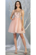 Load image into Gallery viewer, La Merchandise LA1803 Sleeveless A-Line Short Mesh Homecoming Dress - BLUSH - LA Merchandise