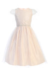 Load image into Gallery viewer, Cute Little Girl Dress - LAK898 - Blush - LA Merchandise