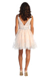 Load image into Gallery viewer, Cute sleeveless short dress- LA1817 - - Dress LA Merchandise