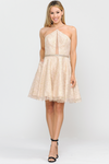 Load image into Gallery viewer, Halter Neckline Bridesmaids Dresses - LAY8506 - CHAMPAGNE - LA Merchandise