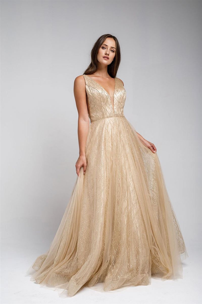 Elegant Formal Gown- LAAR010