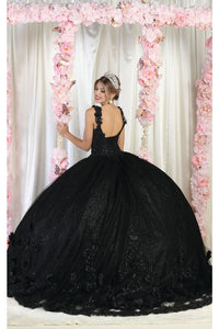 LA Merchandise LA180 Sleeveless Corset V-Neck Embroidered Quinceanera Ball Gown - - LA Merchandise
