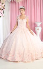 Load image into Gallery viewer, LA Merchandise LA182 Floral Corset Quinceanera Ball Gown - BLUSH - LA Merchandise
