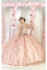 LA Merchandise LA205 3D Floral Applique Quinceanera Gown - - LA Merchandise