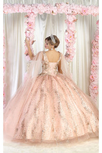 LA Merchandise LA205 3D Floral Applique Quinceanera Gown - - LA Merchandise