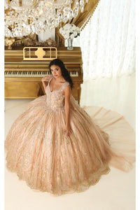 LA Merchandise LA207 3D Floral Applique Train Glitter Quince Gown - - Dress LA Merchandise
