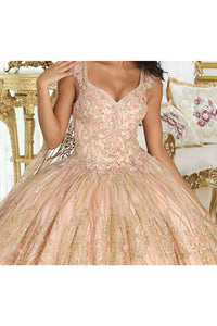 LA Merchandise LA207 3D Floral Applique Train Glitter Quince Gown - - Dress LA Merchandise