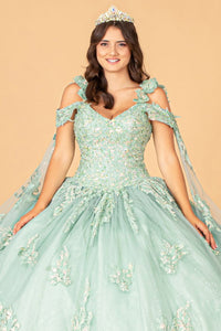 LA Merchandise LAS3099 Embroidered Lace Applique Quince Gown - - Dress LA Merchandise