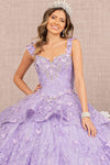 Load image into Gallery viewer, LA Merchandise LAS3112 Embroidered Lace Quince Gown - - Dress LA Merchandise