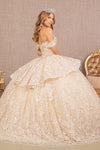 Load image into Gallery viewer, LA Merchandise LAS3112 Embroidered Lace Quince Gown - - Dress LA Merchandise