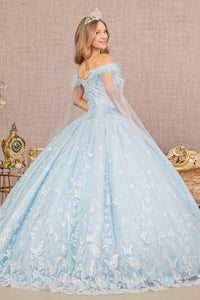 LA Merchandise LAS3166 3D Floral Applique Quinceanera Gown - - Dress LA Merchandise