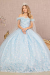 Load image into Gallery viewer, LA Merchandise LAS3166 3D Floral Applique Quinceanera Gown - BABY BLUE - Dress LA Merchandise