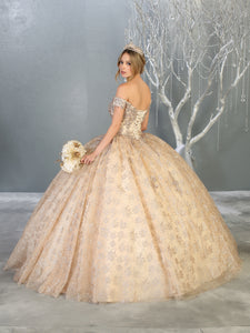 Princess Quinceanera Ball Gown And Plus Size - LA152