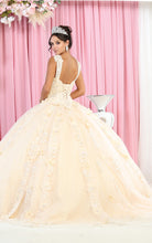 Load image into Gallery viewer, Plus Size Quinceanera Ball Gown - LA171