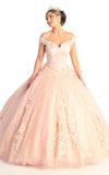 Load image into Gallery viewer, La Merchandise LA160 Floral Applique Off Shoulder Glitter Ball Gown - BLUSH NUDE - LA Merchandise