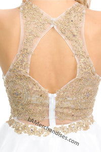 Metallic lace applique & rhinestones short mesh dress- LN8015 - - LA Merchandise