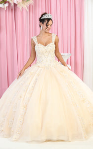 Plus Size Quinceanera Ball Gown - LA171 - CHAMPAGNE - LA Merchandise