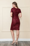 Load image into Gallery viewer, Short Sleeve Semi Formal Dress - LAY8960 - - LAY