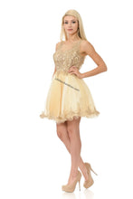 Load image into Gallery viewer, Sleeveless metallic lace applique &amp; rhinestone short mesh dress- LN8101 - - LA Merchandise
