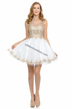 Load image into Gallery viewer, Sleeveless metallic lace applique &amp; rhinestone short mesh dress- LN8101 - - LA Merchandise