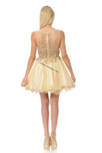 Load image into Gallery viewer, Sleeveless metallic lace applique &amp; rhinestone short mesh dress- LN8101 - - LA Merchandise