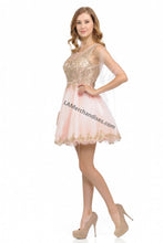 Load image into Gallery viewer, Sleeveless metallic lace applique &amp; rhinestone short mesh dress- LN8101 - - LA Merchandise