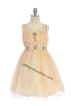 Load image into Gallery viewer, Sleeveless rhinestone knee length mesh dress- DR012 - - LA Merchandise