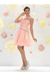 Load image into Gallery viewer, Sleeveless short mesh dress- LA1429 - Blush - LA Merchandise