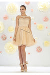 Load image into Gallery viewer, Sleeveless short mesh dress- LA1429 - Champagne - LA Merchandise