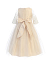 Load image into Gallery viewer, Sweet Fairy Mesh Girls Dress - LAK748 - - LA Merchandise